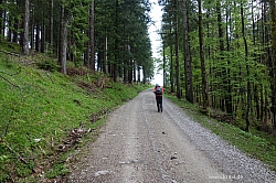 ochsen-auer-spitzkamp-seekarkreut-grasleiten-08.jpg