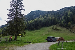 ochsen-auer-spitzkamp-seekarkreut-grasleiten-10.jpg
