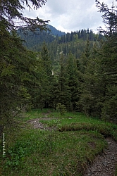 ochsen-auer-spitzkamp-seekarkreut-grasleiten-11.jpg