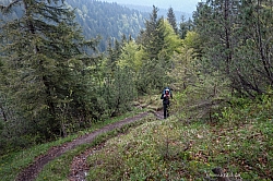 ochsen-auer-spitzkamp-seekarkreut-grasleiten-12.jpg