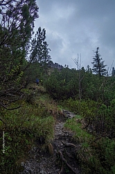 ochsen-auer-spitzkamp-seekarkreut-grasleiten-15.jpg