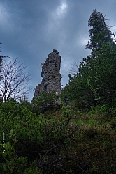 ochsen-auer-spitzkamp-seekarkreut-grasleiten-16.jpg