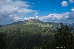 ochsen-auer-spitzkamp-seekarkreut-grasleiten-17.jpg