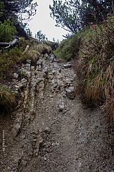 ochsen-auer-spitzkamp-seekarkreut-grasleiten-18.jpg