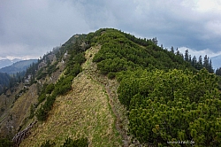 ochsen-auer-spitzkamp-seekarkreut-grasleiten-27.jpg