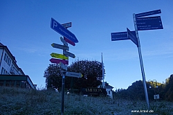 saeuling-002.jpg