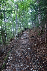 saeuling-004.jpg