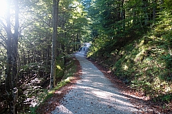 saeuling-007.jpg