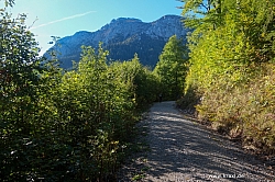 saeuling-009.jpg