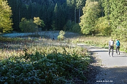 saeuling-010.jpg