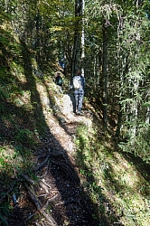 saeuling-012.jpg