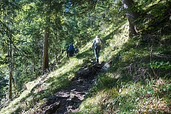 saeuling-013.jpg