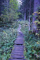 saeuling-014.jpg