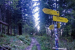 saeuling-015.jpg