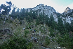saeuling-018.jpg