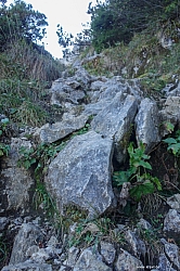 saeuling-022.jpg
