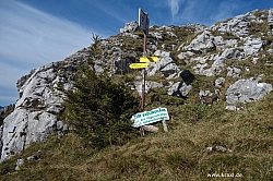 saeuling-037.jpg