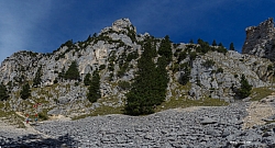 saeuling-046.jpg