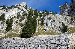 saeuling-048.jpg