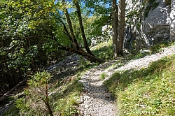 saeuling-055.jpg