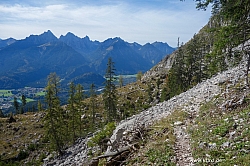 saeuling-056.jpg