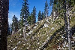saeuling-059.jpg