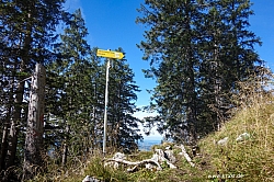 saeuling-060.jpg