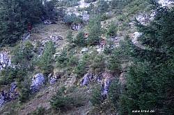 saeuling-063.jpg