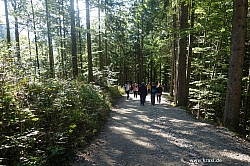 saeuling-067.jpg