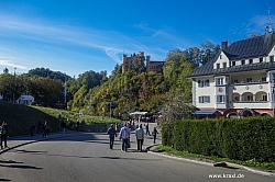 saeuling-068.jpg