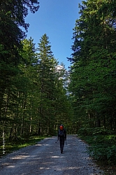 triglav-003.jpg