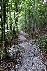 triglav-012.jpg