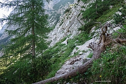 triglav-023.jpg