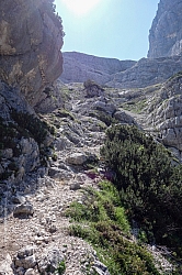 triglav-034.jpg