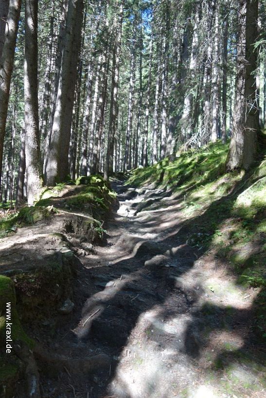 geier-junssee005.jpg
