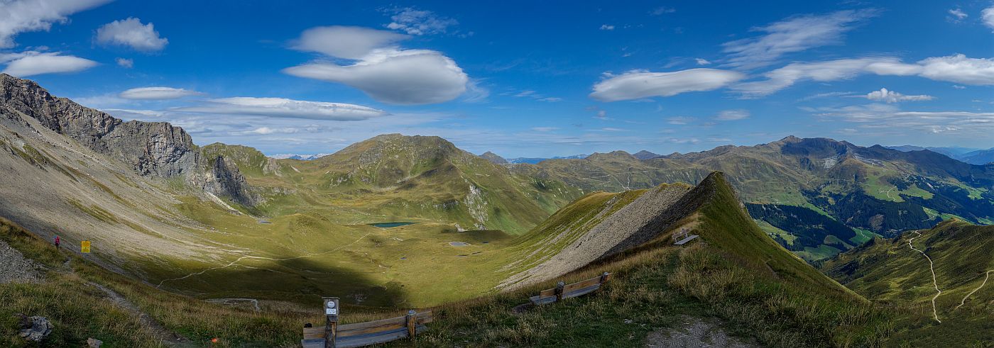 geier-junssee195.jpg