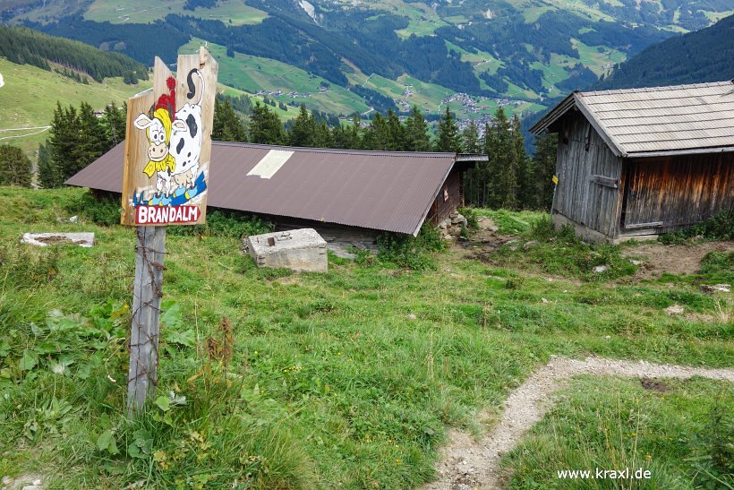 geier-junssee217.jpg