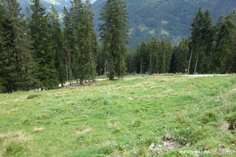 geier-junssee218.jpg