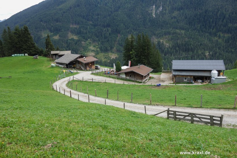 geier-junssee221.jpg