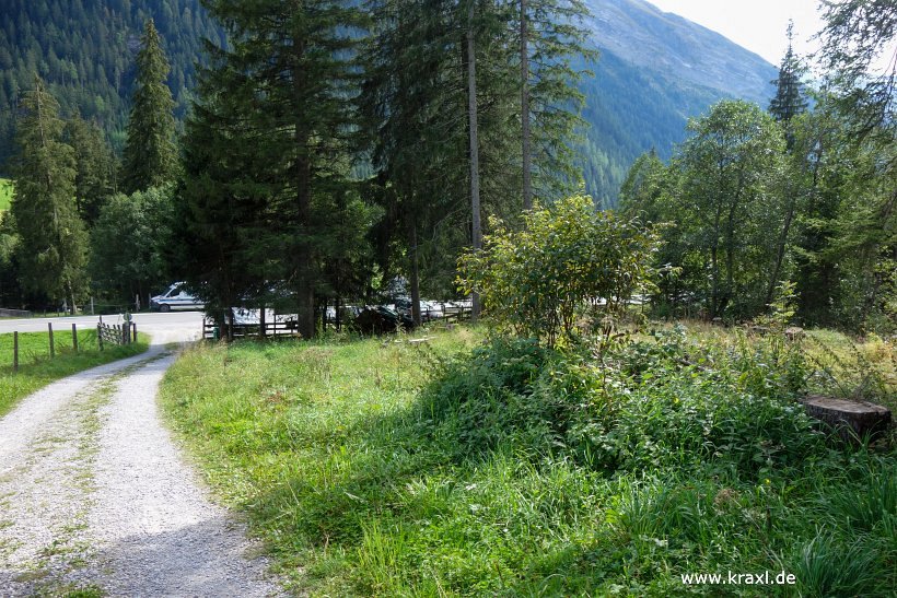 geier-junssee229.jpg