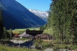 geier-junssee003.jpg