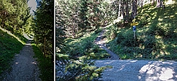 geier-junssee004.jpg