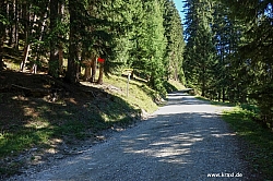 geier-junssee006.jpg