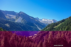 geier-junssee008.jpg