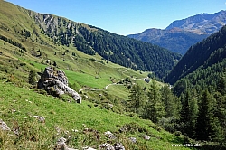 geier-junssee011.jpg