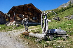 geier-junssee012.jpg