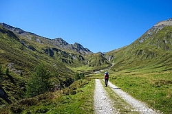 geier-junssee027.jpg
