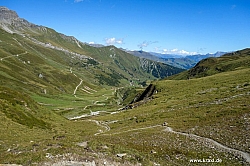geier-junssee032.jpg