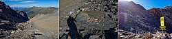 geier-junssee106.jpg