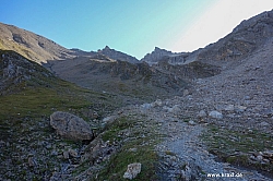 geier-junssee111.jpg